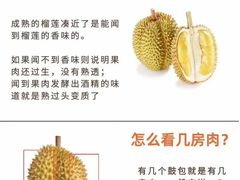 -麦德龙(湖里店)