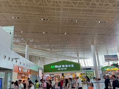 -厦门高崎国际机场-T4航站楼