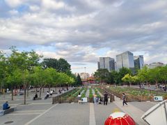 -莲花池公园