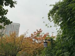 -阳明祠