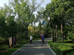 -迎泽公园