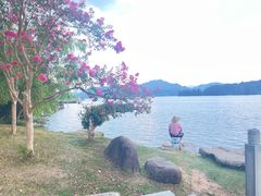 -梅城古镇