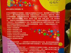 -杨梅红艺术教育(万象城校区)