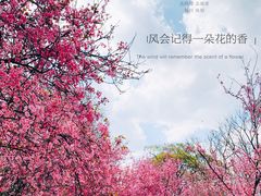 -昆明动物园
