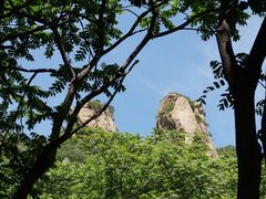 -大岭沟猕猴桃谷风景区
