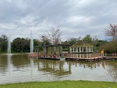 -中国科学院西双版纳热带植物园