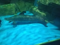 -石林冰雪海洋世界