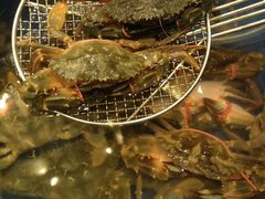 海鲜-漳州瑰丽半岛酒店·原素全日制餐厅