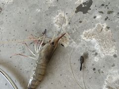 -堂会(白云店)