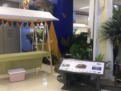 -合肥蜀山万象汇