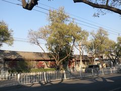 -北京市丰盛中医骨伤专科医院