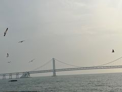 -星海广场
