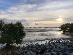 -宝安西湾红树林湿地公园