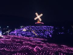 -大塘金香草谷