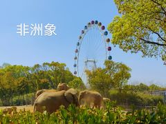 -上海野生动物园