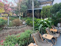 -大青树咖啡(大理古城店)