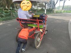 -昆山城市生态森林公园