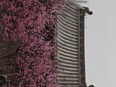 -迎泽公园