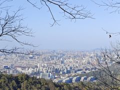 -灵顺寺