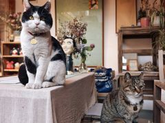 -创艺无限·赵春香微妙艺术馆