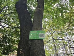 -黄埔荔枝公园