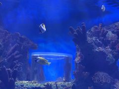 -多彩贵州城极地海洋世界