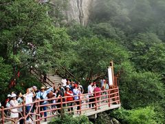 -老君山风景名胜区