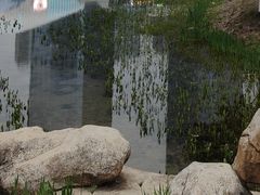 -花果园湿地公园