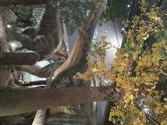 -湖南省地质博物馆