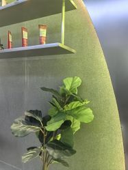 -不迫先生专业男士剪发