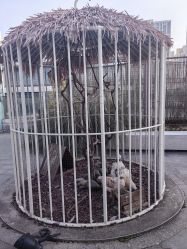 -造物庄园 萌宠纪(苏州湾歌林公园店)