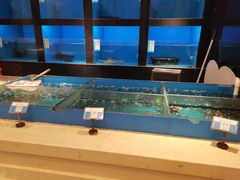 -金时代顺风大酒店(金山店)