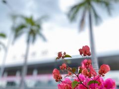 -亚龙湾站