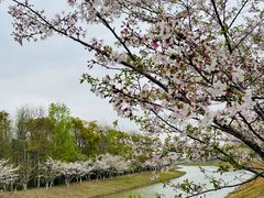 -上海海湾国家森林公园