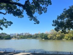 -江心屿景区