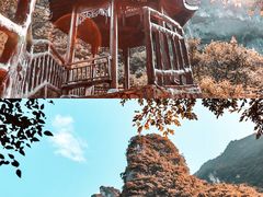 -武陵山森林公园
