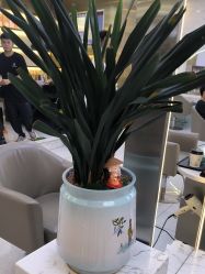 -虫二·专注健康烫染沙龙