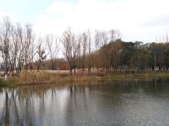 -昆山城市生态森林公园