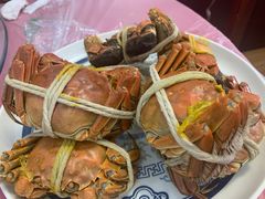 -小陆莲花蟹园农家乐(莲花岛店)