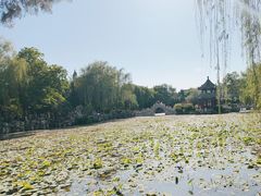 -莲池书院博物馆