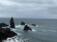 -涉地可支