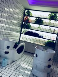 点击看大图 -泽璞堂美发沙龙