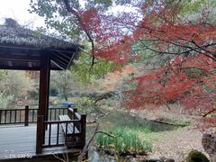 -930私房菜(欧阳路店)