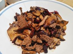 -滇铺子·云南特色菜·第九届野生菌美食节(东风东路c86店)