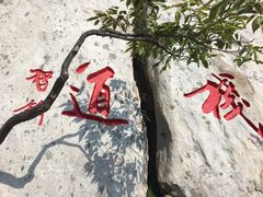 -嵩山少林文化旅游景区