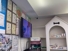 -特一安24小时宠物医院·骨科·中兽医
