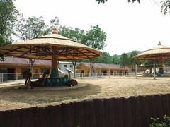 -石家庄市动物园