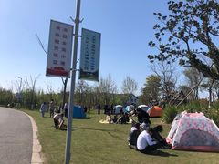 -上海长兴岛郊野公园