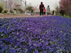 -朗悦公园茂