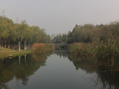 -暨阳湖生态园